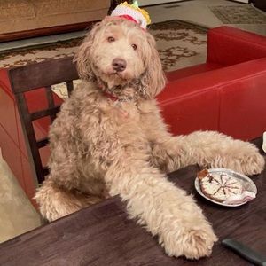 Meet your Posher, Strawberry